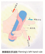 Electromagnetic vibration testing system